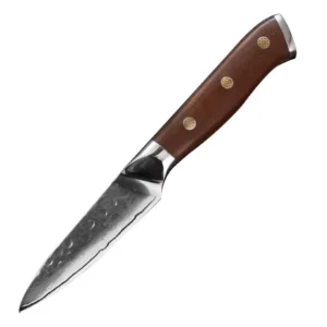 3.5 Inch Kitchen Paring Knife Damascus VG-10 Steel 67-Layer 58-62HRC Hardness G10 Handle EVA Gift Box 100 Set