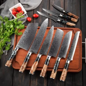 9pcs Japanese Damascus Kitchen Knife Set 67 Layers VG10 10Cr15MoV Composited Resin Maple Burl Wood Handle Chef Knife