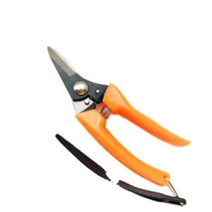 Black Coated Stainless Steel Blades Bypass Garden Pruning Scissors Flower Cutting Pruner Plastic Handles for Orchards Clipping