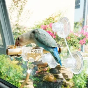 Car Mountable Parrot Travel Suction Cup Stand Glass Perch Durable Eco Friendly Bird Resting Platform for Indoor Outdoor Use