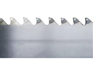 Carbide Saw