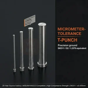 Custom SKD11 D2 Steel Stamping Die Punches Precision Press Mold Punching Pin High Speed Steel HSS SKH51 M2 Mould Component