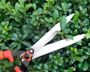 Customized Professional Garden Tools Branch Shears Garden Portable Scissors Pruner for Gardening