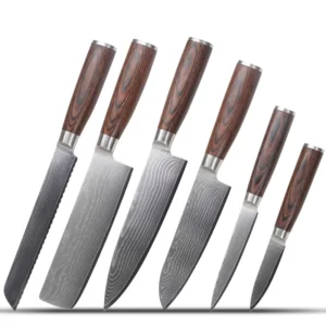 Damascus Steel Knife Set VG10 Core Kitchen Knives Dual Material Handle Pakka Wood and 430 Stainless Steel Chef Knife Set
