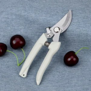 Diy Stainless Steel Pruning Scissors Garden Pruners with Curved Blade for Plant Trimming Plastic Handle Tool