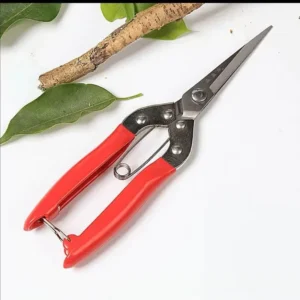 Factory Industrial Grade Telescopic Horticulture Hand Pruner Pruning Shears for Branch Cutting