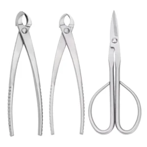 Factory Price Stainless Steel Pruning Scissors for Garden Fruit Flower Bonsai Tools From China