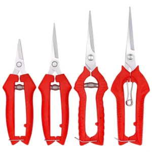Flower Thinning Fruit Thinning Pruner Shear Scissor