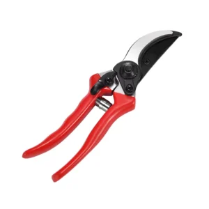 Fruit Tree Pruning Scissors