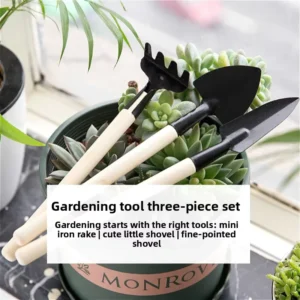 Garden Flower Fleshy Planting Tools Set Small Shovel Iron Rake Three piece Gardening Set