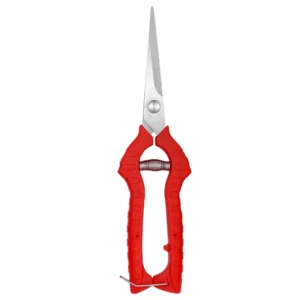 Gardening Tool Micro-Tip Garden Pruning Grape Shears Stainless Steel Blades Handheld Needle Nose Fruit Pruners