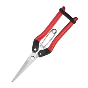High Quality Carbon Steel Garden Fruit Pruner Shear for Garden Tree Cutting Fruits