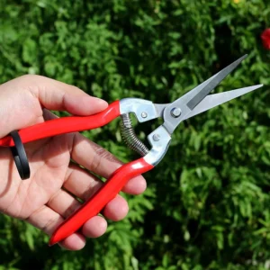 Hydroponic Blade Cutter Stainless Steel Garden Scissor Pruner Small Trimming Pruning Shears