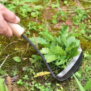 Industrial Grade Garden Tool Hand Hoe Sickle with Sharp Wood Blade Edge for Weeding and Cultivating Model Beijing 022