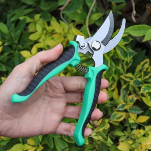 OEM Customizable Stainless Steel Garden Pruning Shears Manual DIY Grade Fruit Graft Branch Scissors for Planting Hand Tools