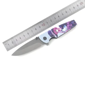 Outdoor Stainless Steel Folding Knife with Customized Pattern Handle