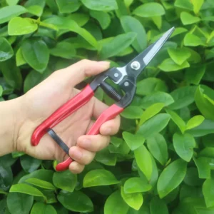 Professional Sharp Snip Trimming Tool for Gardening Plant Flower Grape High carbon Steel Scissor Pruning Shears
