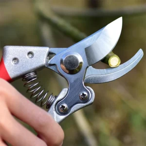 SK5 Steel Mini Pruning Garden Shears Bonsai Tree Pole Hand Bypass Pruner Scissors Compact Garden Tools