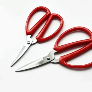 Scissors