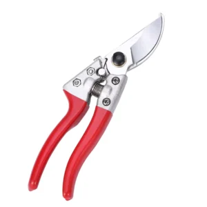 Shears Garden Pruning Fruit Branches Flower Trimming Gardening Scissors Flowering Fruit Trees Green Flower to