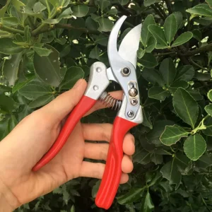 Shrub Shear Edging Shear Sharp Blade Scissors Bonsai Tools Garden Shear