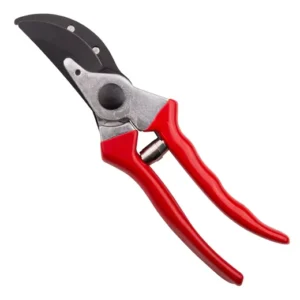 Small Garden Bypass Tree Pruning Shears Branch Trimming Cutting Pruner With High Quality Floral Scissors