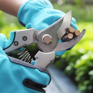 Stainless Steel Bypass Pruning Shears with Plastic Handle Multifunctional Flower Tree Branch Cutting Garden Pruner