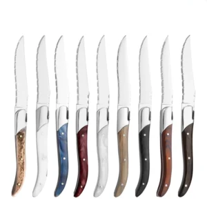 Stainless Steel Eco Friendly Modern Japanese Kitchen Steak Knife Set with Custom Logo OEM ODM Available for Home Use