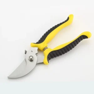 Stainless Steel Pruning Shears for Garden Fruit Trees & Flowers