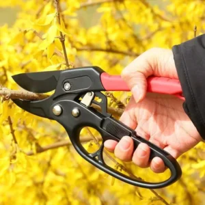 Stainless Steel Ratchet Pruner Sectional Pulley Labor Saving Branch Cutter Fiberglass Anti Slip Hand Guard Garden Tree Shears
