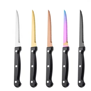 Stainless Steel Ultra Sharp Serrated Western Steak Knife Plastic Handle Modern Minimalism Design
