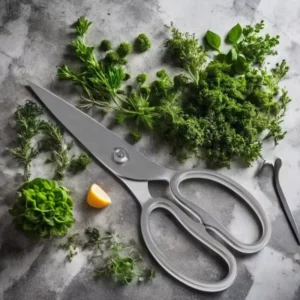 The Best Professional Scissors Strong Scissors Japan Steel Scissor Kitchenaid All Purpose Kitchen Shears