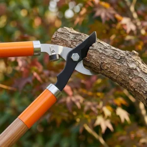 Wood Handle Manual High Branch Tree Pruner Pole Cutting Tool Garden Tool Chinese Factory Supply