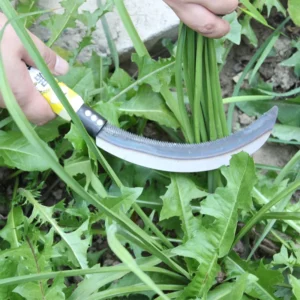 Wooden Handle Sickle Garden Hand Tool Farm Agriculture Cutting Tool for Weeding